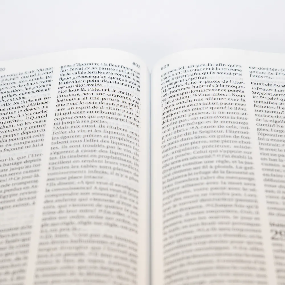 Bible Segond 21 compacte (Premium Style) - couverture rigide, toilée matelassée, motifs marguerites