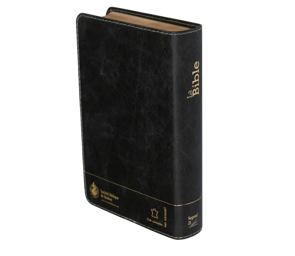 Bible Segond 21 compacte (Premium Style) - couverture souple, cuir anthracite, avec tranches dorées
