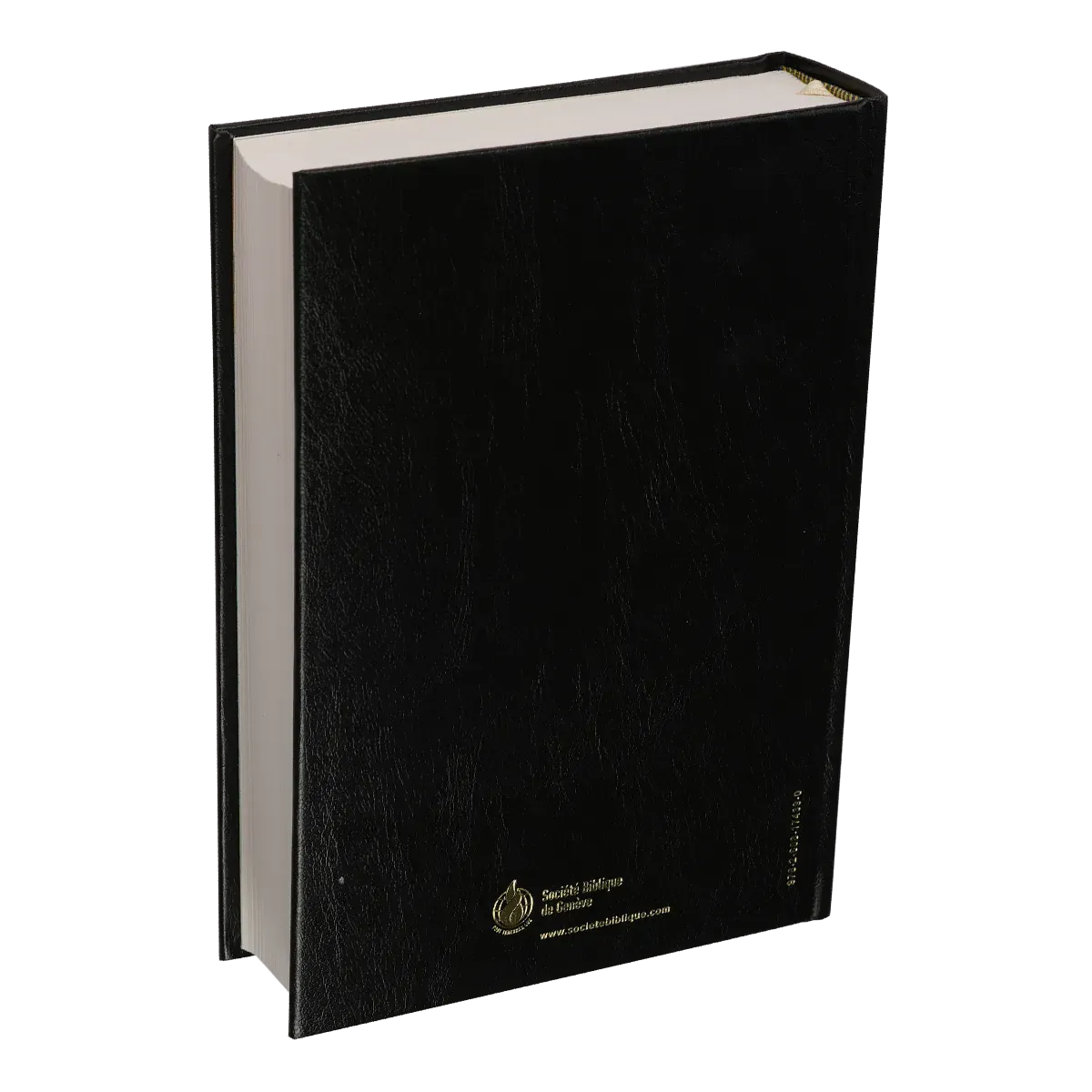 Bible d'étude Segond NEG MacArthur - Couverture rigide, Skyvertex noir