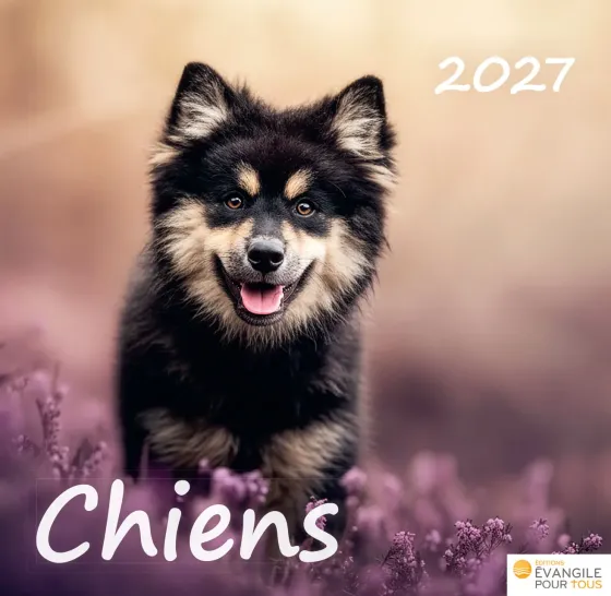 Chiens, Merveilles de la création - Calendrier de table