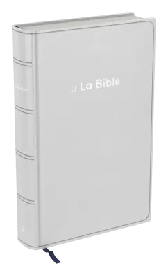 Bible Darby révisée format compact, souple gris, tranche argent