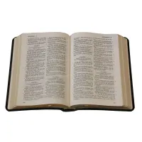 Bible Darby édition de Rolle, format moyen, cuir noir sans rebord, souple, tranche dorée