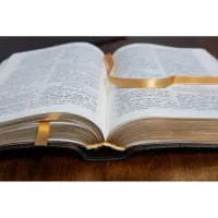 Bible Darby édition de Rolle, format moyen, cuir noir sans rebord, souple, tranche dorée