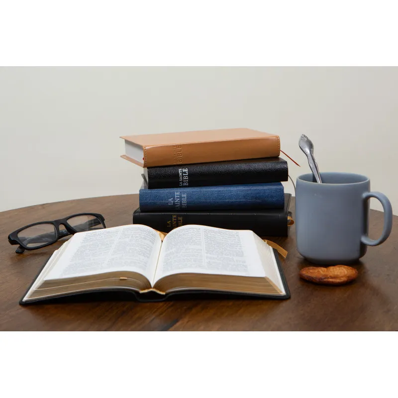 Bible Darby édition de Rolle, format moyen, cuir noir sans rebord, souple, tranche dorée