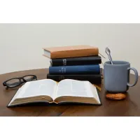 Bible Darby édition de Rolle, format moyen, cuir noir sans rebord, souple, tranche dorée