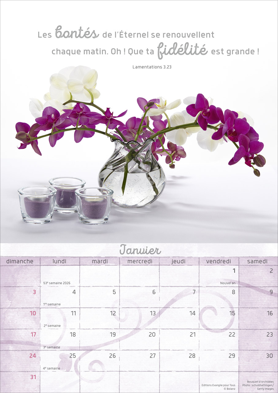 Moments de joie - Calendrier mural