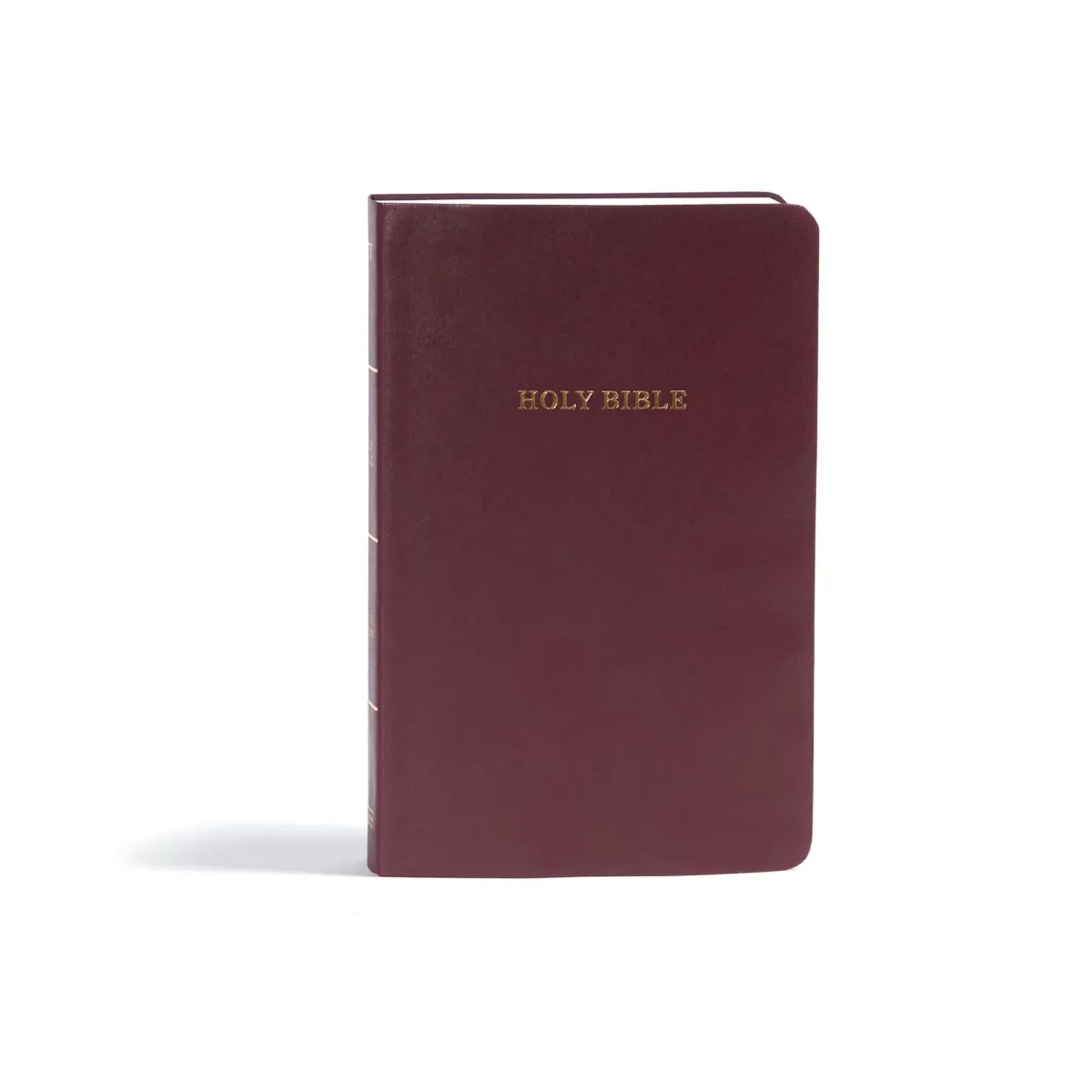 Anglais, Bible, KJVn, Gift and Award Bible, Burgundy Imitation Leather