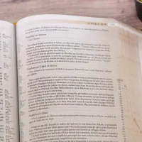Bible Segond 21 «archéo», avec notes d'étude archéologiques et historiques - modèle souple, toile...