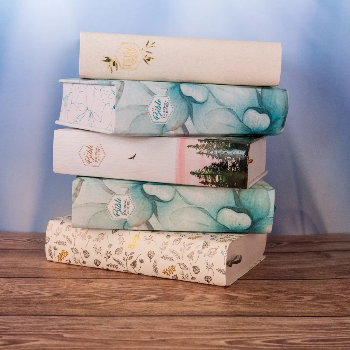 Bible Segond 21 Journal de bord - couverture rigide, toile imprimée motifs, jaspage