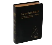 Bible d'étude Segond NEG Scofield, noire - couverture souple, fibrocuir, tranche or, avec onglets