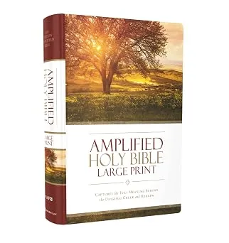 Anglais, Bible Amplified, gros caractères, cartonnée, couverture illustrée - Large Print