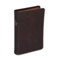 Bible Darby édition de Rolle, format moyen, cuir brun, souple, tranche dorée