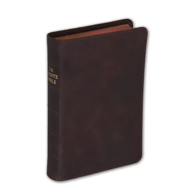 Bible Darby édition de Rolle, format moyen, cuir brun, souple, tranche or