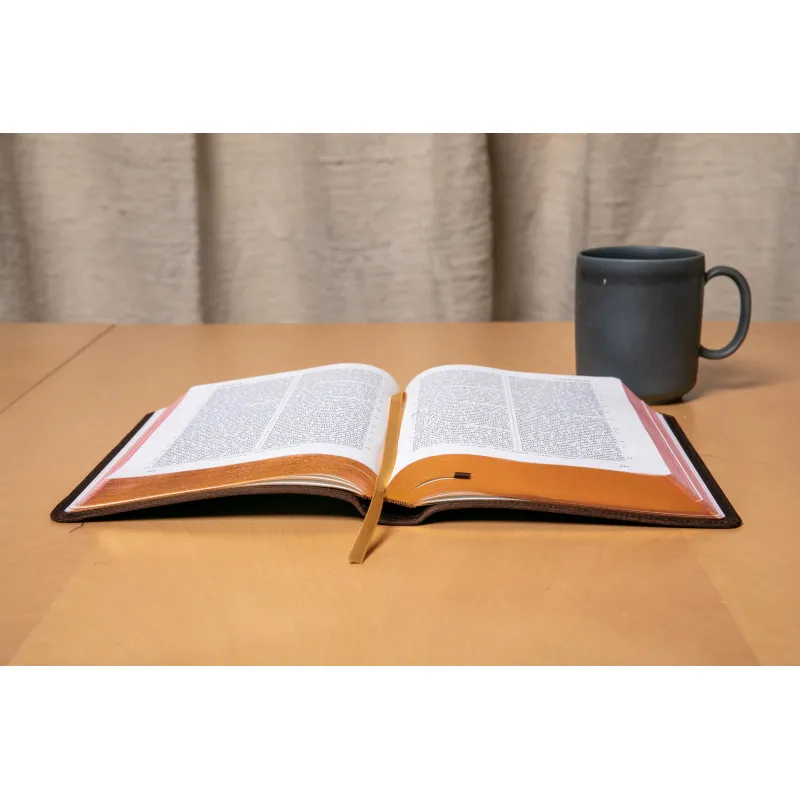 Bible Darby édition de Rolle, format moyen, cuir brun, souple, tranche or
