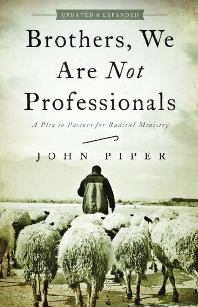 BROTHERS WE ARE NOT PROFESSIONALS - PB - A PLEA TO PASTORS FOR RADICAL MINISTRY