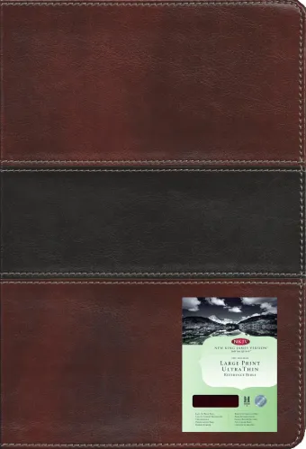 ANGLAIS, BIBLE NKJV, GROS CARACTÈRES, CUIR BICOLORE BORDEAUX/NOIR, ONGLETS, TRANCHE OR [New King...