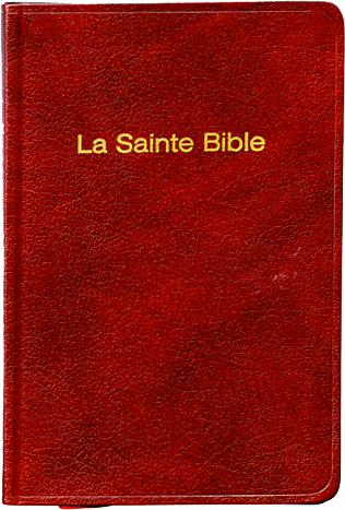 Bible Darby, de poche, grenat - couverture souple, vivella, tranche or 