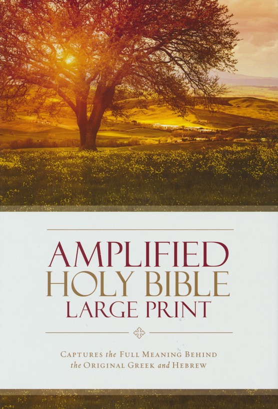 Anglais, Bible, Amplified - Large Print