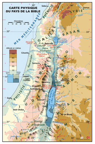 Carte physique de la Palestine - Carte géographique