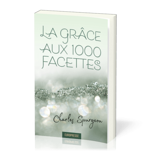 Grâce aux 1000 facettes (La)