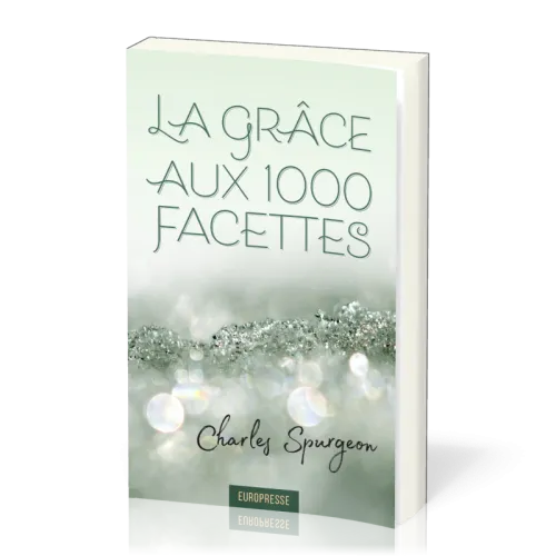 Grâce aux 1000 facettes (La)