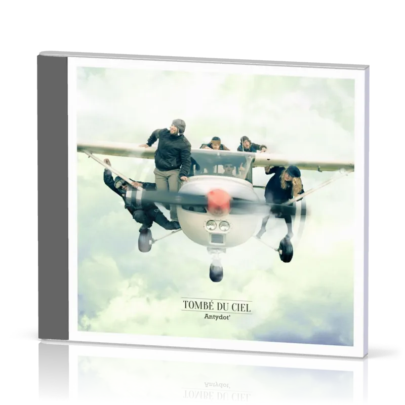 Tombé du ciel - [CD, 2014]