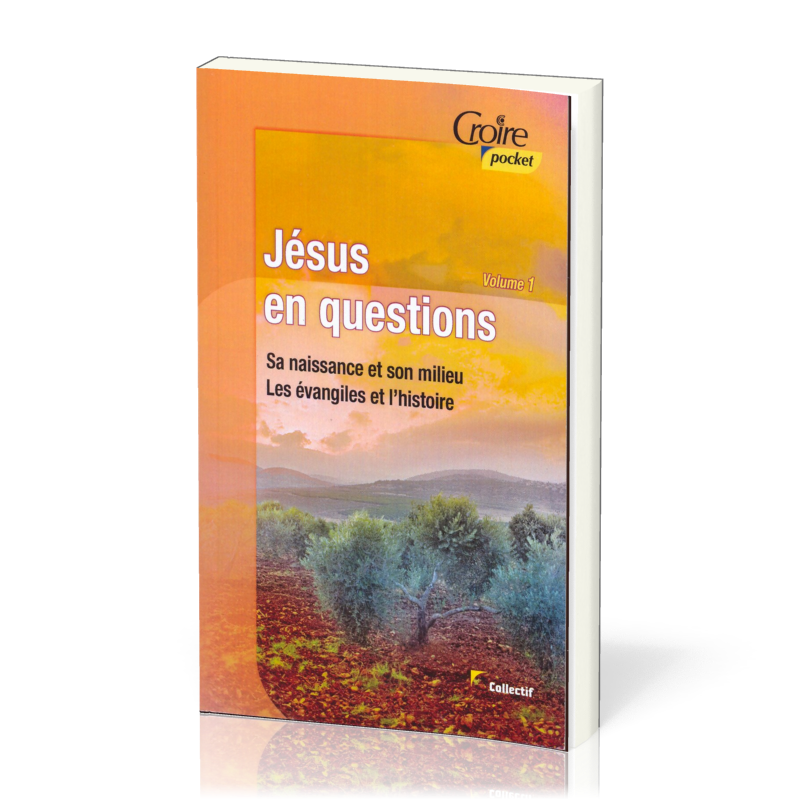 Jésus en questions - Volume 1 - Sa naissance et son milieu. Les évangiles et l'histoire