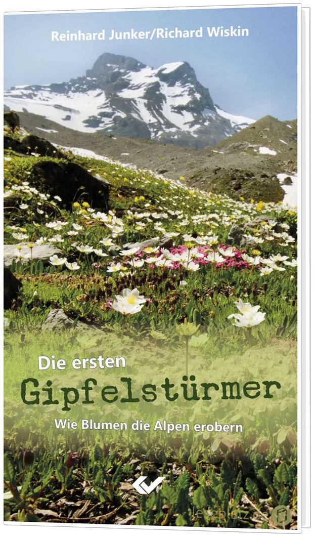 Die ersten Gipfelstürmer - Wie Blumen die Alpen erobern
