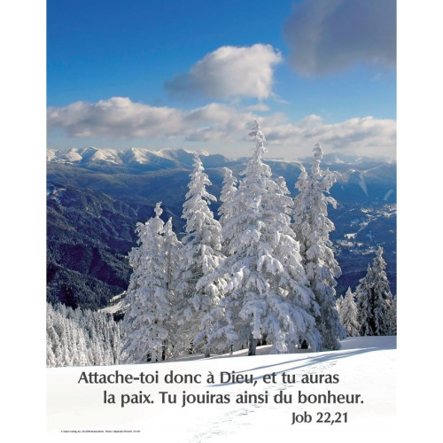 Poster #291 Job 22.21 - Paysage enneigé