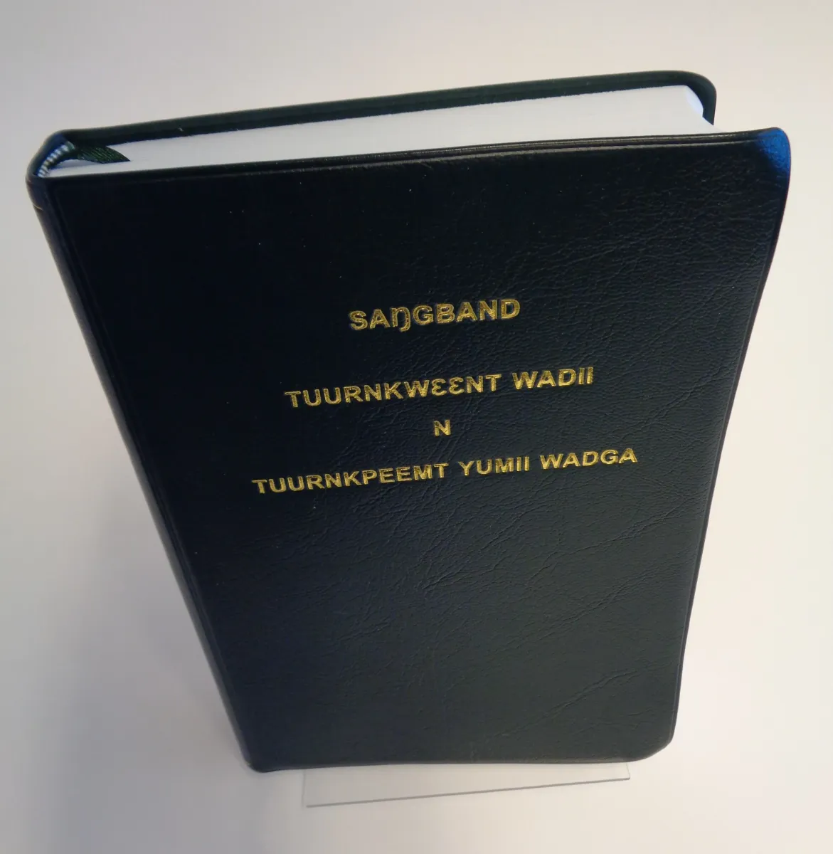 Nawdm Nouveau Testament et Psaumes (Togo)