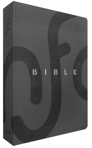 Bible, Nouvelle Français courant, luxe - couverture souple, simili cuir gris, tranche argent,...