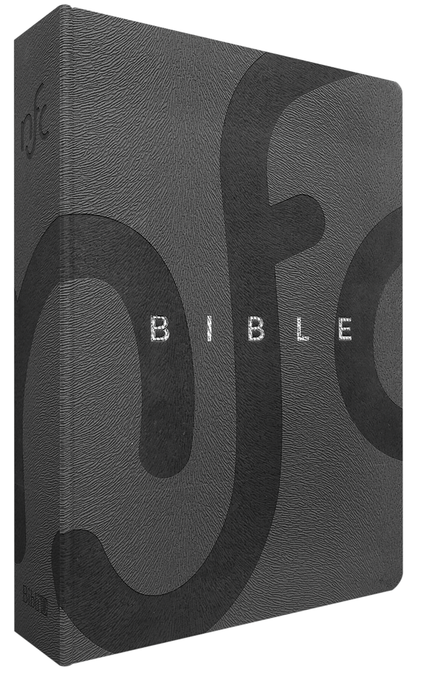 Bible Nouvelle Français Courant - couverture souple, simili cuir gris, tranche argent, avec...