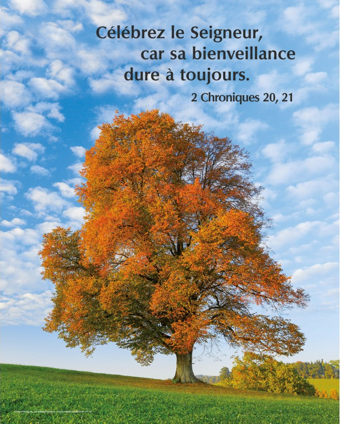 Poster arbre en automne - "Célébrez le Seigneur..." 2 Chroniques 20.21"