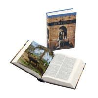 Anglais, Bible King James Version, rigide, couverture illustrée, petit format