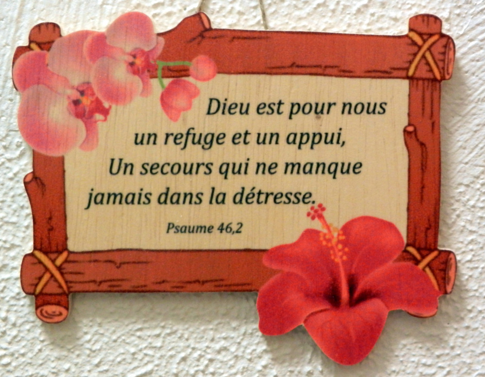 Bois, cadre avec fleurs, Dieu est pour nous un refuge […] - Psaume 46.2