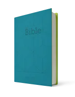 Bible Segond 21 compacte - couverture souple Vivella vert