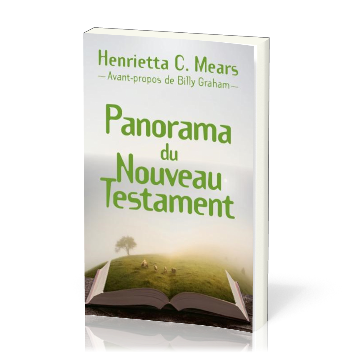 Panorama du Nouveau Testament - Seconde édition revue et corrigée
