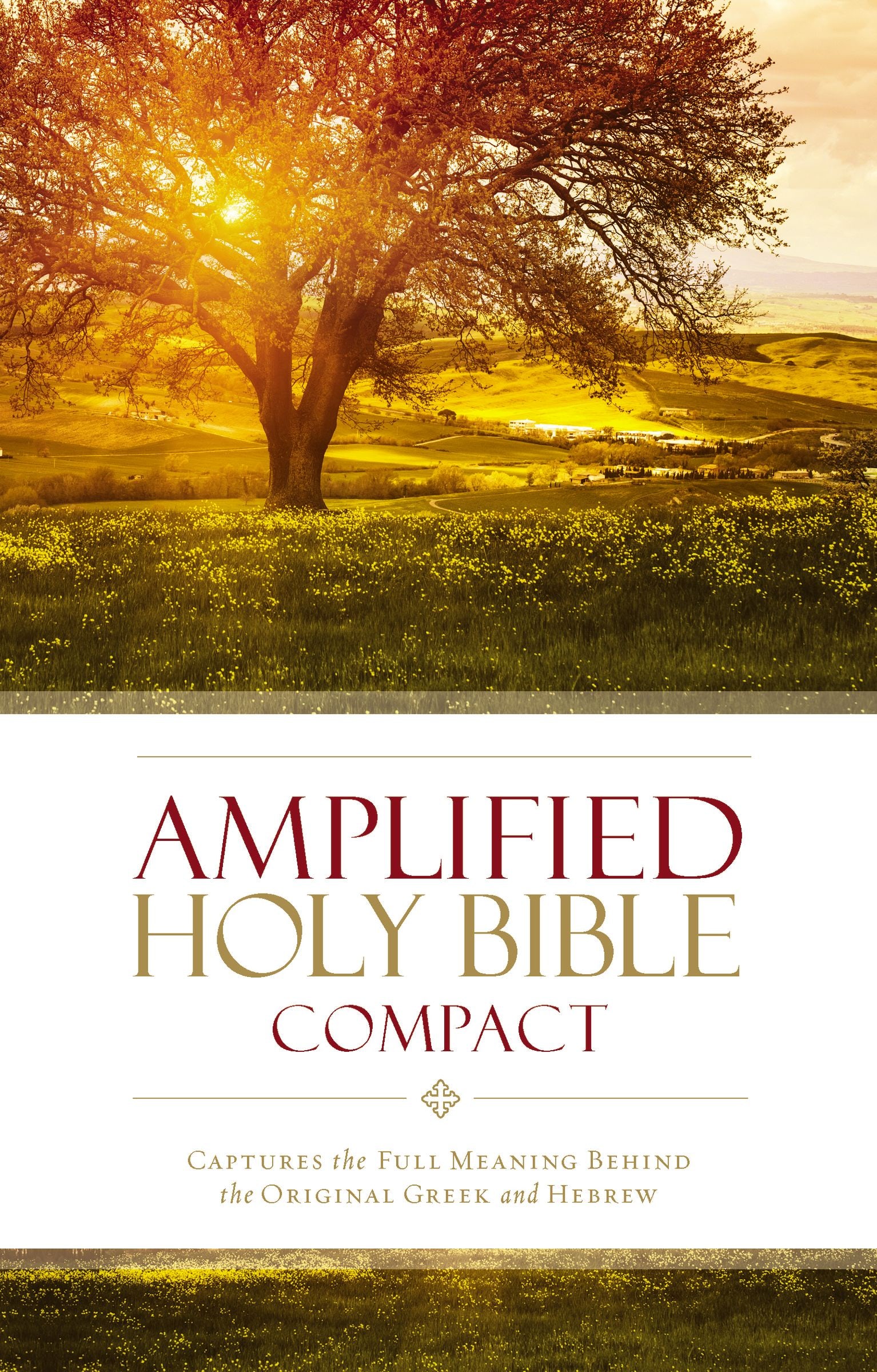 Anglais, Amplified Bible - compacte, rigide