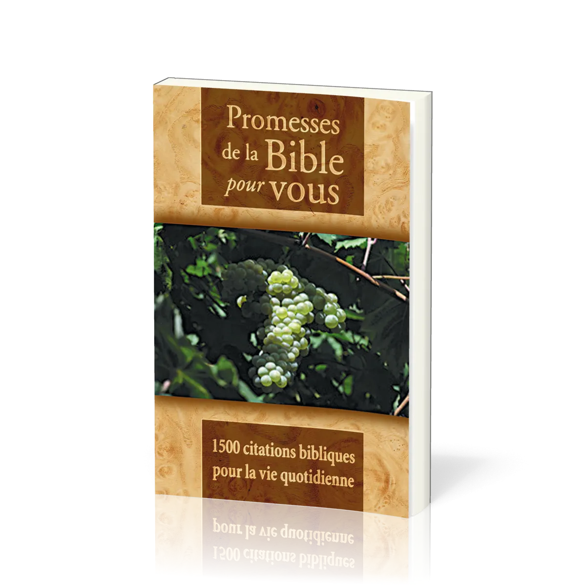 Promesses de la Bible pour vous - 1500 citations bibliques pour la vie quotidienne