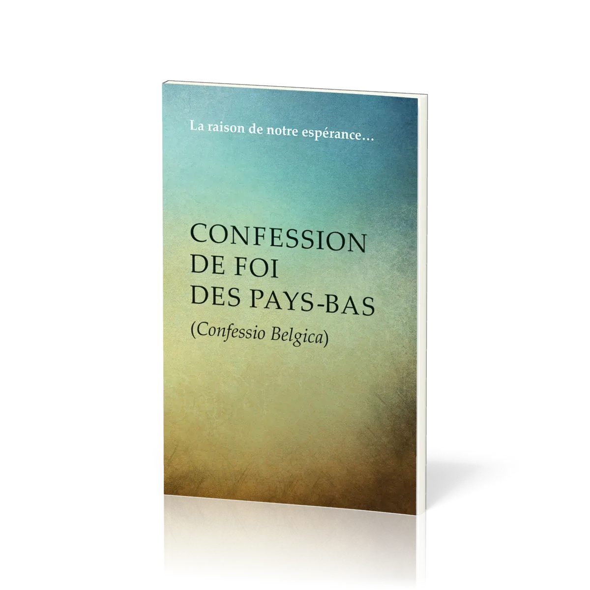 Confession de foi des Pays-Bas (Confessio Belgica) - La raison de notre espérance…