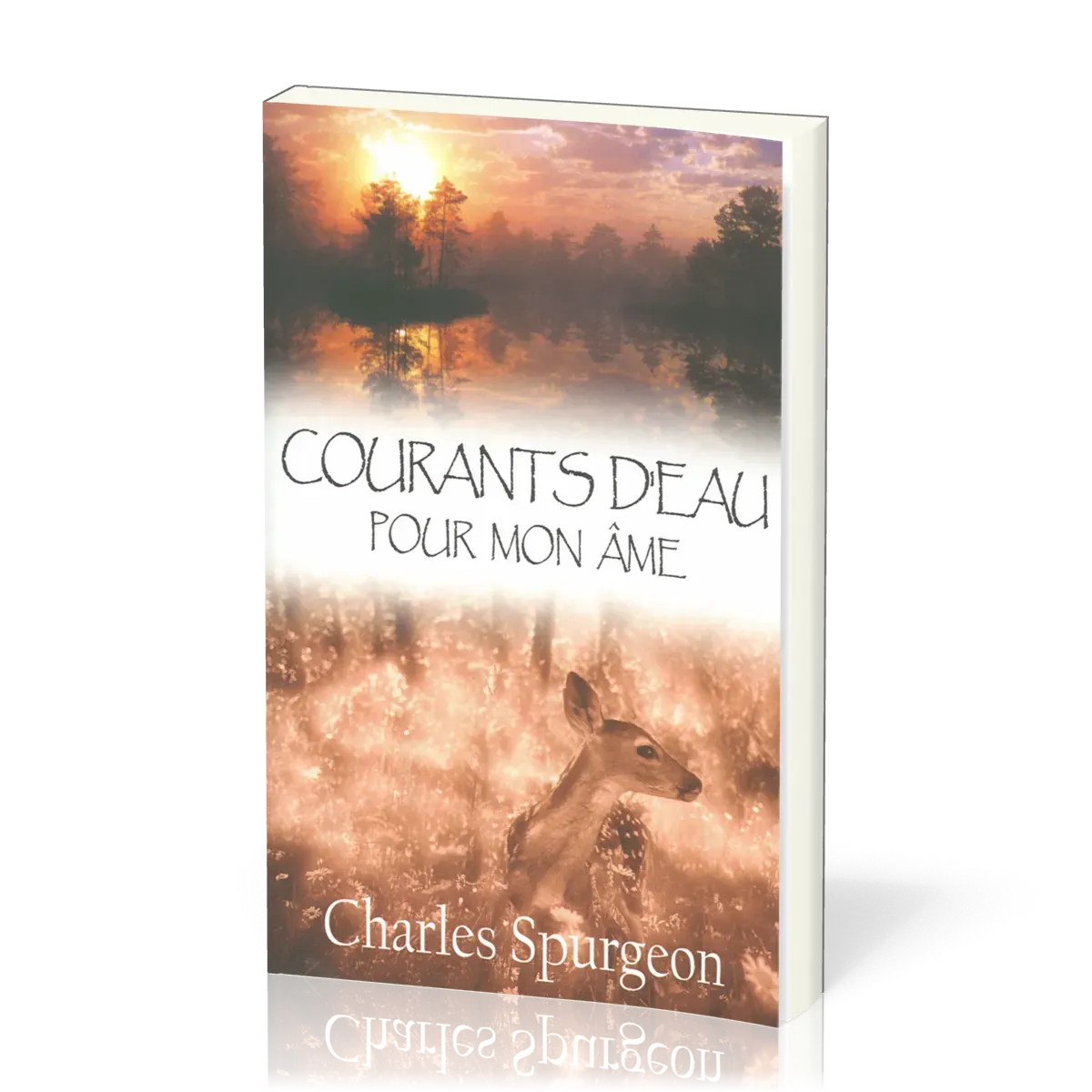 Courants d'eau pour mon âme