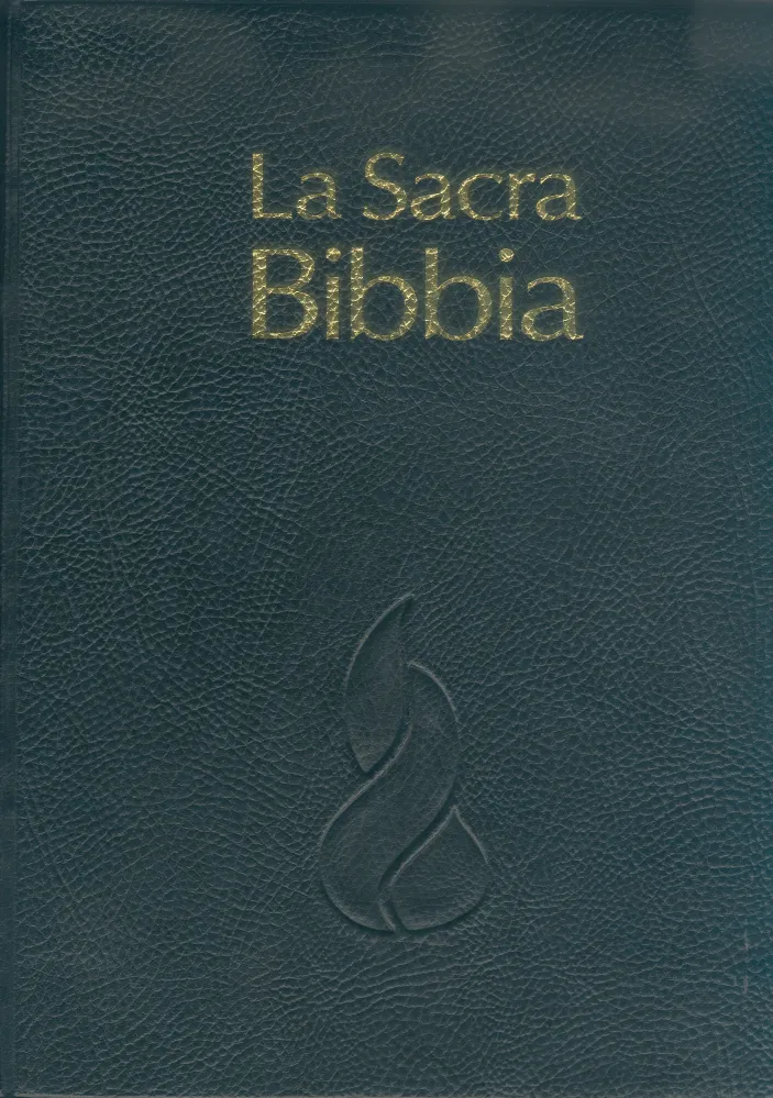 BIBLE SEGOND 1910 GROS CARACTERES SOUPLE CUIR TR. OR ONGLETS NOIRE MARQUES  PAGES - Segond 1910 :: Certitude