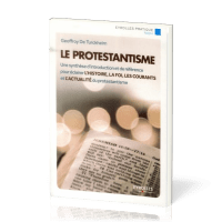 Protestantisme (Le) - Une synthèse d'introduction et de référence pour éclairer l'histoire, la...